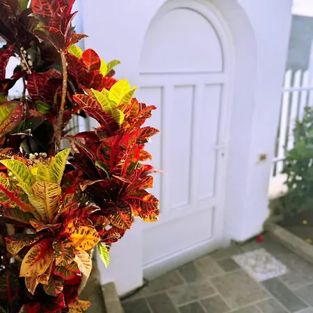 Hibiscus Holiday home